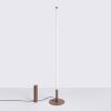 Lampadaire Acier Marron LED 1 Trang