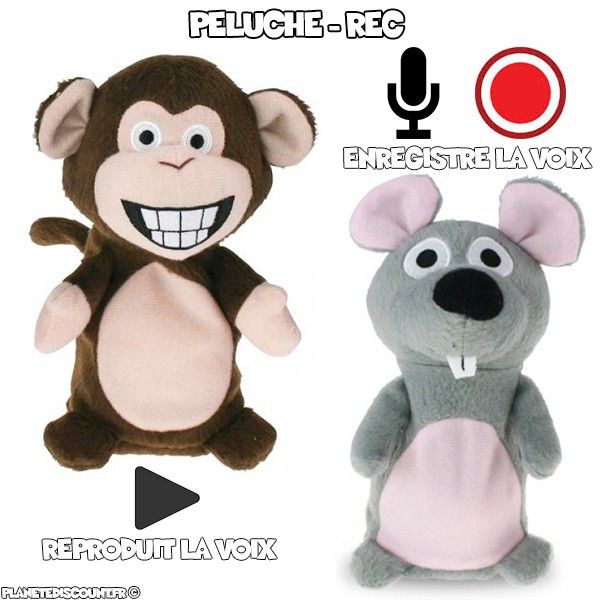 Peluche enregistrement et reproduction de voix