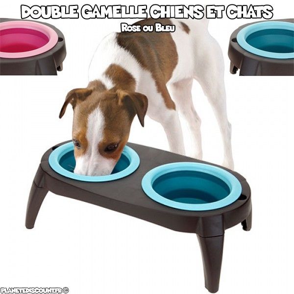 Double Gamelle pour chiens et chats