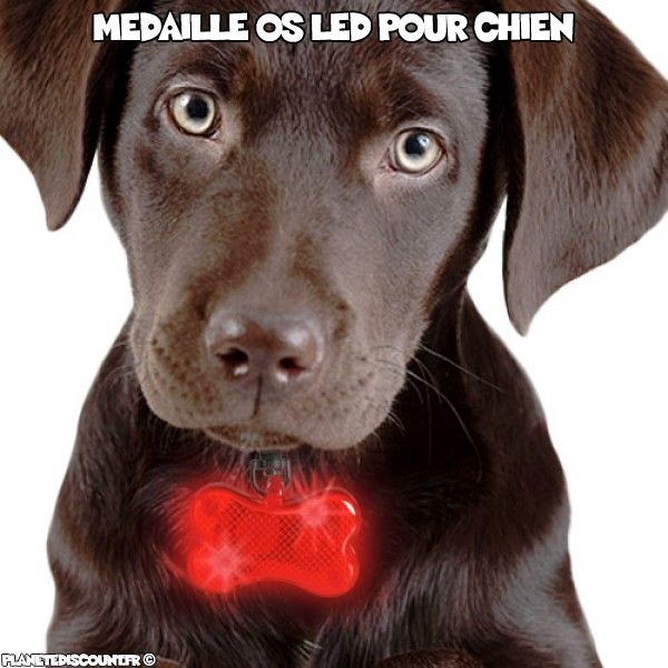 Médaille os lumineuse LED pour chiens 