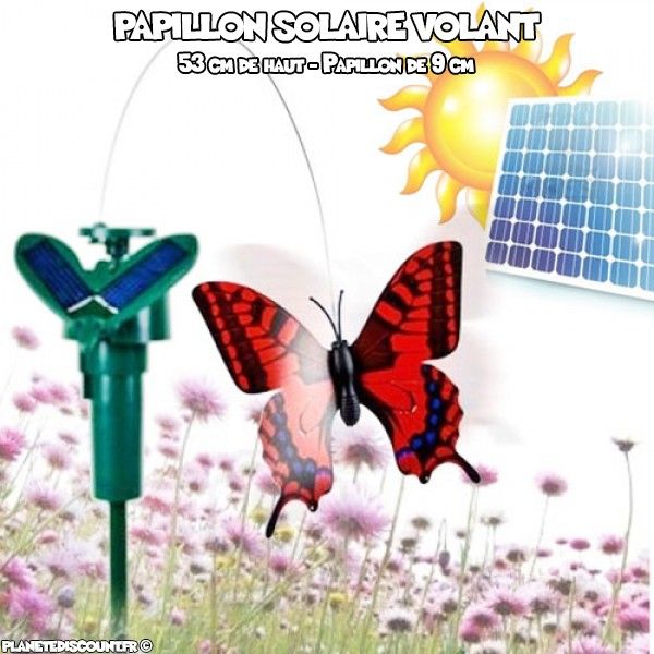 Papillon solaire volant