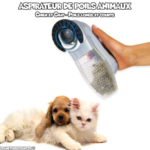 Aspirateur pour chien, poils d'animaux, aspirateur pour poils de