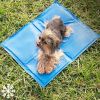 Tapis rafraîchissant pour chien et chat