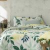 Parure de drap 100% Coton 57 fils Riviera 240x300