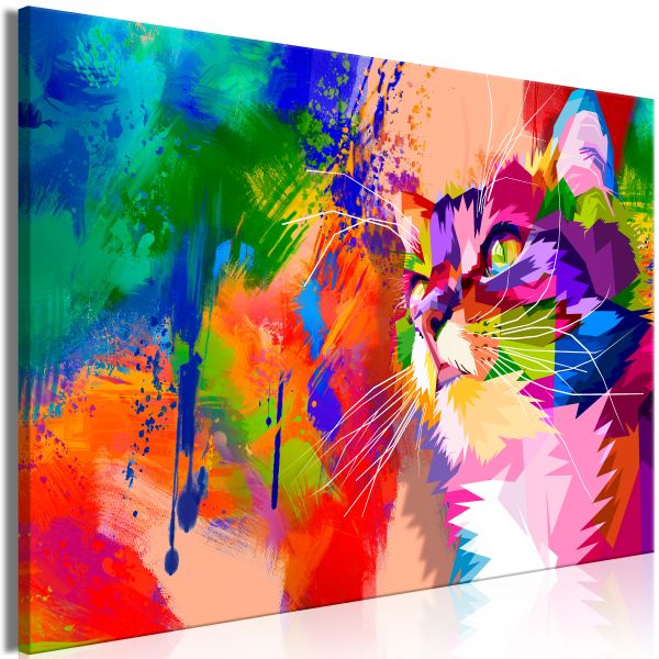 Tableau Colourful Cat 1 Pièce Wide