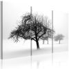 Tableau Arbres dans le brouillard