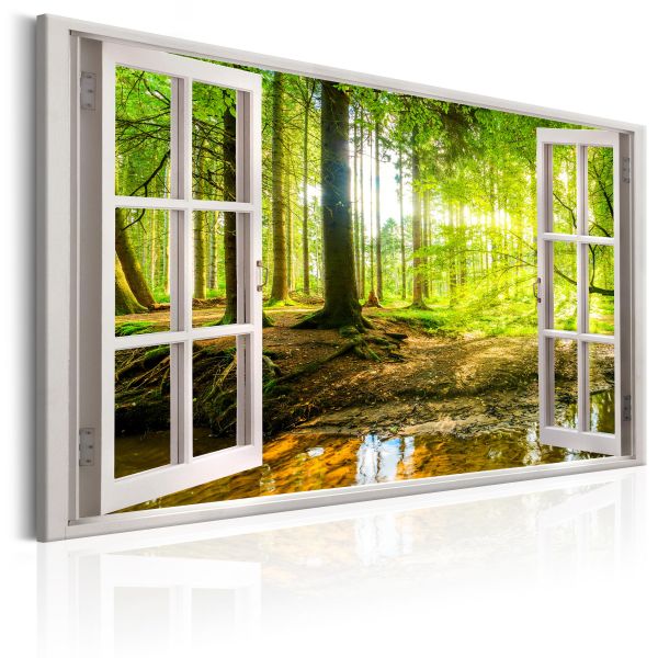 Tableau Window: View on Forest