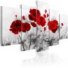 Tableau Fleurs coquelicots - rouge miracle