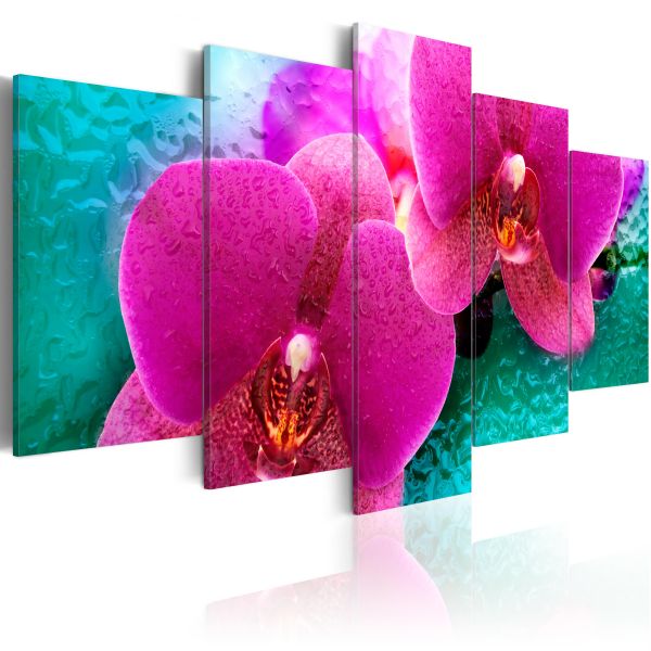 Tableau Fleurs Exotic orchids