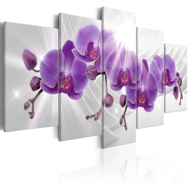 Tableau Fleurs Abstract Garden: Purple Orchis