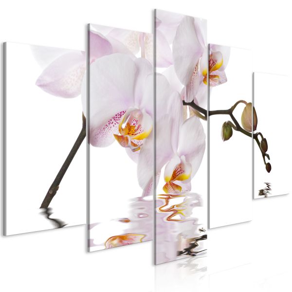 Tableau Fleurs Delightful Orchid (5 Parts) Wide