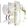 Tableau Fleurs Wonderful Orchid (5 Parts) Wide