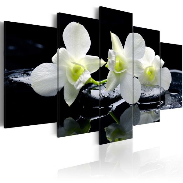 Tableau Fleurs Melancholic orchids