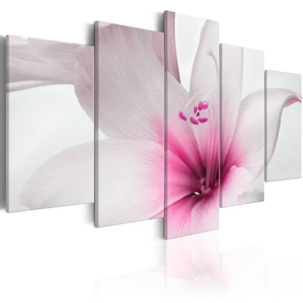 Tableau Fleurs Amarylis: Pink Charm