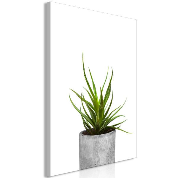 Tableau Fleurs Haworthia (1 Part) Vertical