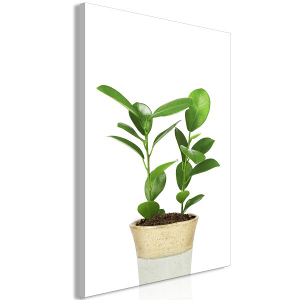 Tableau Fleurs Plant In Pot (1 Part) Vertical