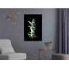 Tableau Fleurs White Lilacs (1 Part) Vertical