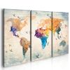 Tableau Cartes du monde Free as a bird - triptych