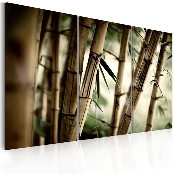 Tableau Zen forêt tropicale