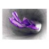 Papier peint intissé Abstractions Purple Apparition