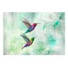 Papier peint intissé Animaux Colourful Hummingbirds (Green)