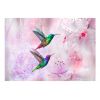 Papier peint intissé Animaux Colourful Hummingbirds (Purple)