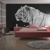 Papier peint intissé Animaux Tigre blanc