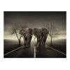 Papier peint intissé Animaux Ville d'éléphants