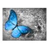 Papier peint intissé Animaux Blue butterfly
