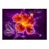 Papier peint intissé Fleurs Fiery flower in purple