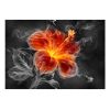 Papier peint intissé Fleurs Fiery flower inside the smoke