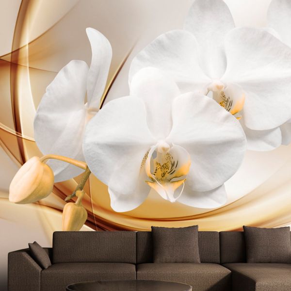 Papier peint intissé Fleurs Orchid blossom