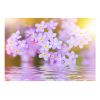 Papier peint intissé Fleurs Violet Petals In Bloom