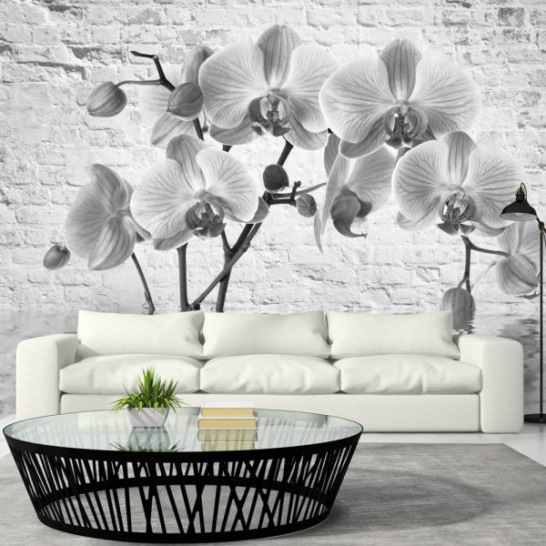 Papier peint intissé Fleurs Orchid in Shades of Gray