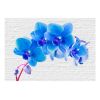 Papier peint intissé Fleurs Blue excitation