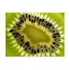 Papier peint intissé Motifs de cuisine fruits: kiwi