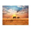 Papier peint intissé Paysages Éléphants de savane d'Afrique
