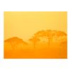 Papier peint intissé Paysages Orange savanna