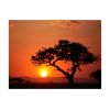 Papier peint intissé Paysages Afrique: coucher de soleil