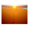 Papier peint intissé Paysages Traces de pas sur le sable
