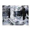 Papier peint intissé Paysages Winter forest