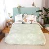 Housse de couette 240x260 + 2 taies d'oreiller 63x63 Coton Gala