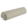 Drap housse 90x190 +35 cm Coton 57 fils Latte