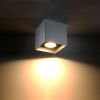 Plafonnier Aluminium Gris GU10 1 Quad
