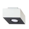 Plafonnier Acier Blanc/Noir GU10 1 Mono