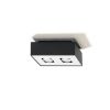 Plafonnier Acier Noir/Blanc GU10 2 Mono