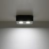 Plafonnier Acier Noir/Blanc GU10 2 Mono
