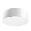 Plafonnier PVC Blanc E27 1 Arena