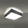 Plafonnier PVC Gris E27 2 Horus