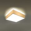 Plafonnier PVC Blanc E27 2 Horus